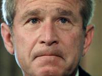 Bush 9/13