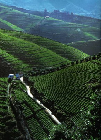 DOURO