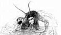 metamorfoza
