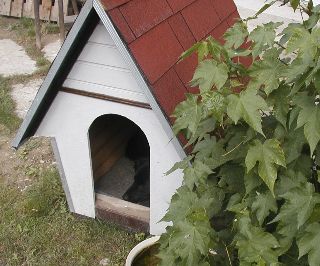 Krov nad glavom