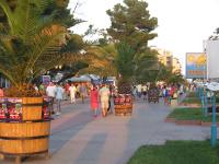 Sunny Beach